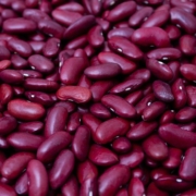 Kidneybønner Et billede af kidneybønner