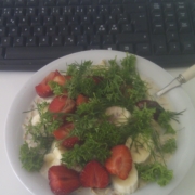 Min private morgen sommer mysli