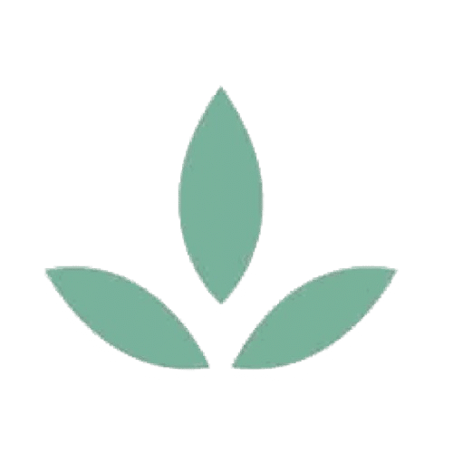 Danmarks Veganske Forening