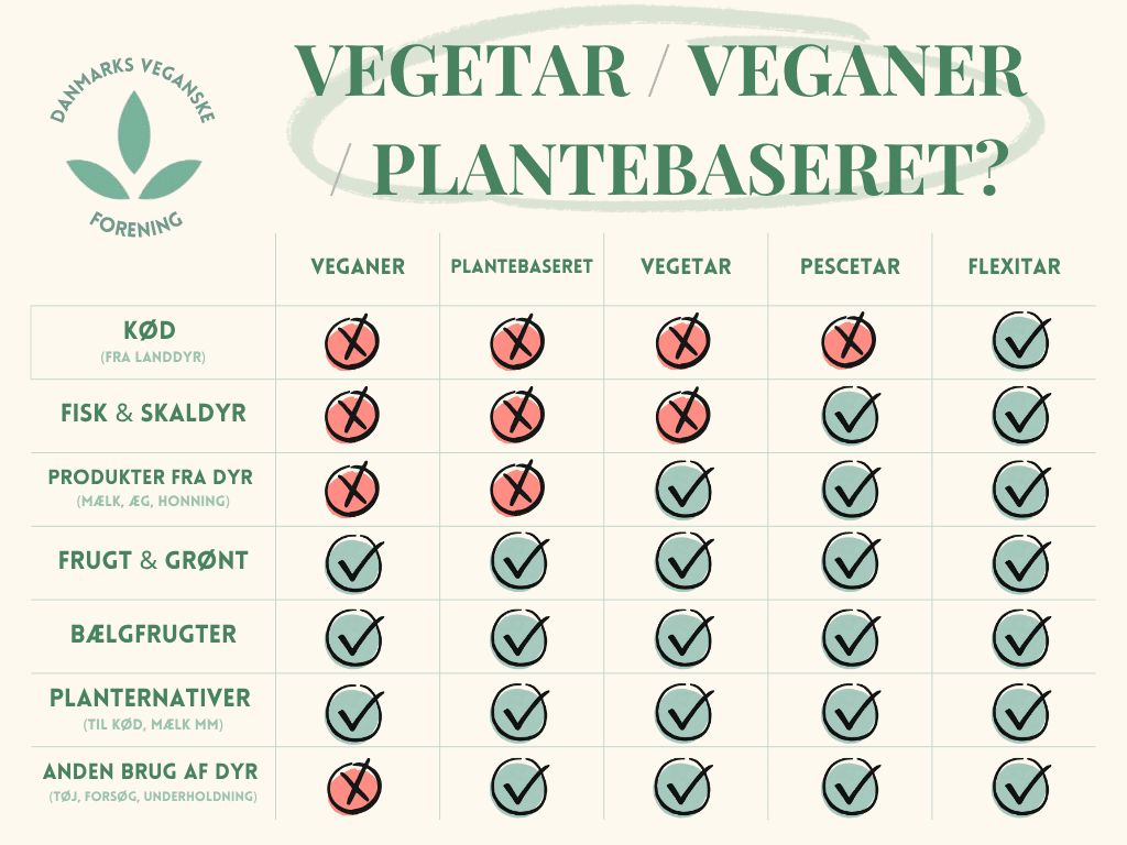 Vegetar eller veganer forklaring? Billedet er et skema, som viser et svar på, "Hvad er en veganer". Det dækker over forskellen på en vegetar og en veganer.